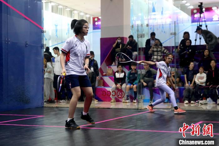 2023全国壁球锦标赛在大连西岗区专业场馆开幕